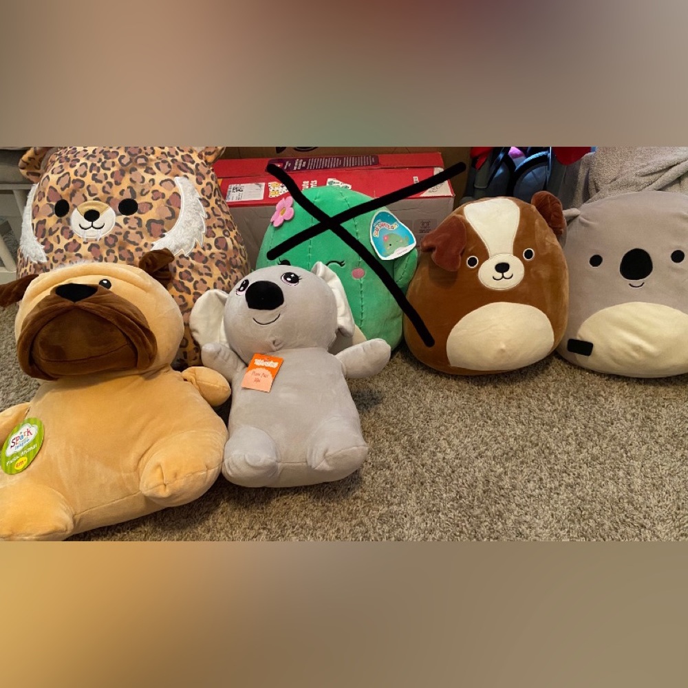 Five Squishmallows